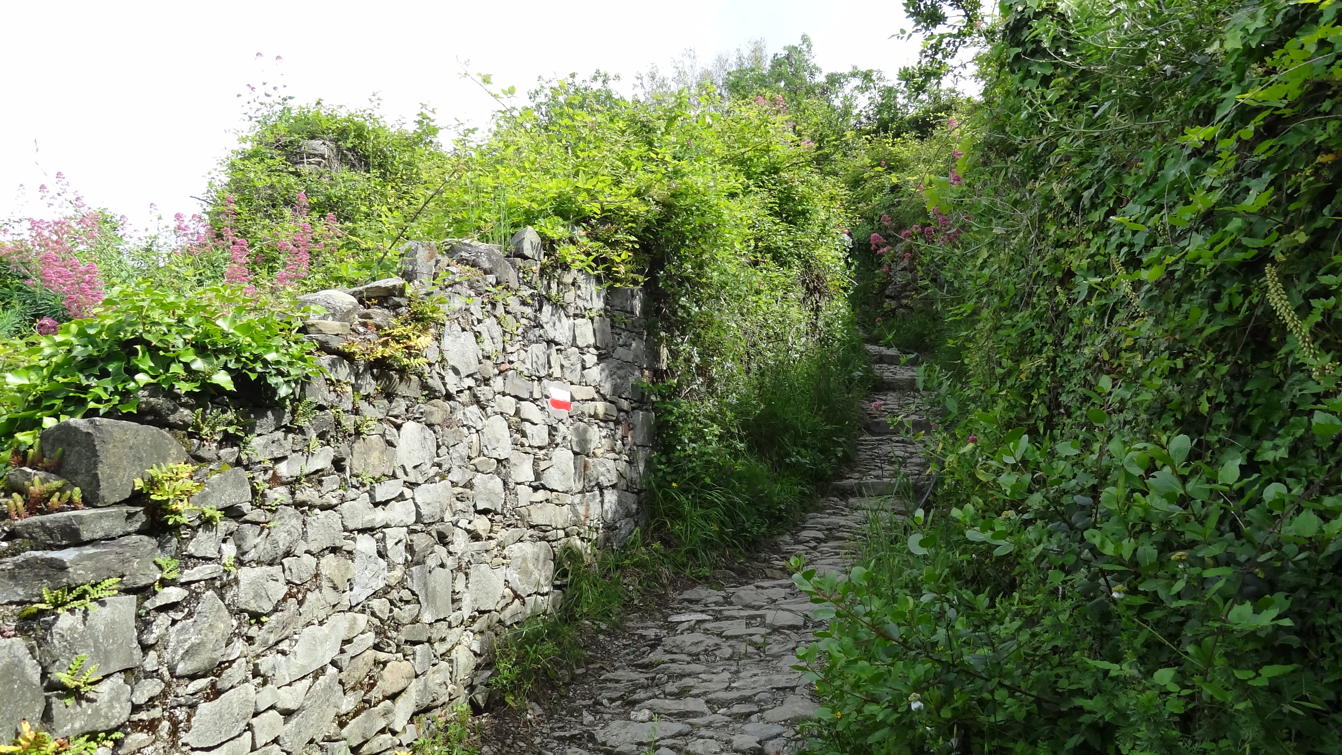 Sentier de randonnée en pierre
