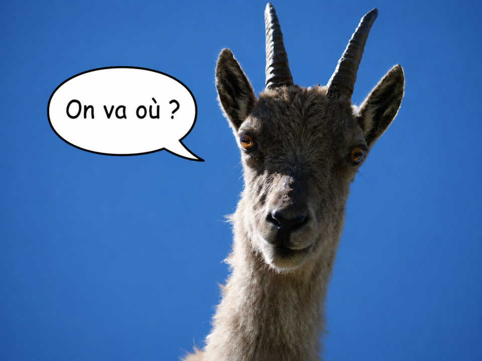 Prochaine sortie !