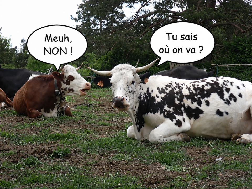 En cours de préparation !