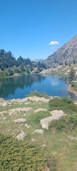 Trecoulpa